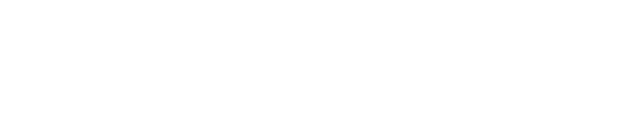 Modelwise